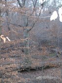 Enlarge photo 50
