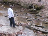 Enlarge photo 51