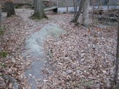Enlarge photo 52