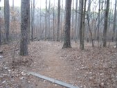 Enlarge photo 53