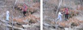 Enlarge photo 57