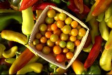 Still life-vegetables