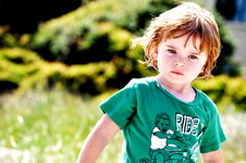 Enlarge photo 29
