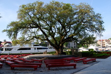 Enlarge photo 22