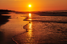 Enlarge photo 45