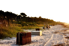 Enlarge photo 46