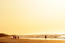 Enlarge photo 47