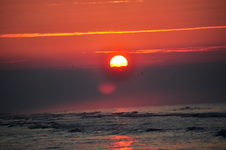 Enlarge photo 39