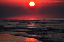 Enlarge photo 40