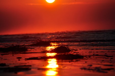 Enlarge photo 30