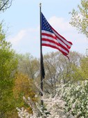 Korean War Veteran's Memorial-D. C.