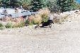 Enlarge photo 20