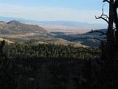 Enlarge photo 18