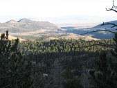 Enlarge photo 19