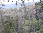 Enlarge photo 20