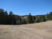 Enlarge photo 24