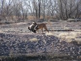 Enlarge photo 15