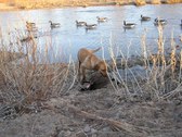Enlarge photo 23