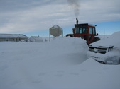 Enlarge photo 17