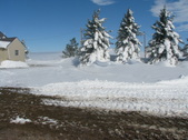 Enlarge photo 24