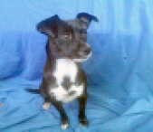 AGGIE Adopted! :)