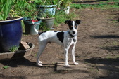 Abel ADOPTED:)