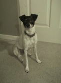 Acici ADOPTED :)