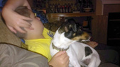Enlarge photo 4