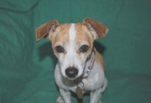 - ADOPTED Addie