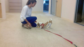 Enlarge photo 2