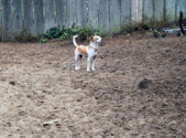Enlarge photo 3