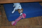 Enlarge photo 4
