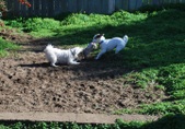 Enlarge photo 2