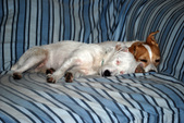 Enlarge photo 3