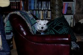 Alix: ADOPTED: )