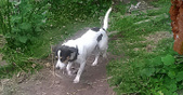 Enlarge photo 4