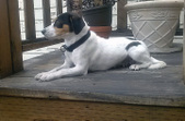 Amandy ADOPTED :)