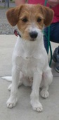 Enlarge photo 4
