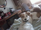 Enlarge photo 4