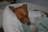 Enlarge photo 3