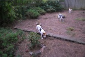 Enlarge photo 3