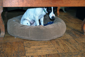 Enlarge photo 13