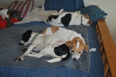 Enlarge photo 12