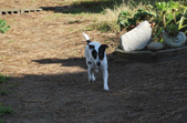 Enlarge photo 5