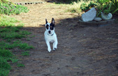 Enlarge photo 6