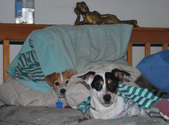 Enlarge photo 3