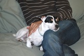 Enlarge photo 9