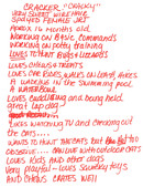 Enlarge PDF 3
