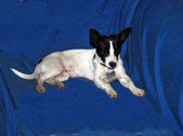 Enlarge photo 103