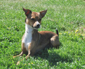 Enlarge photo 88